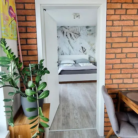 Premiere Big Balcony And View
